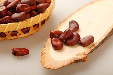 剧情互动《不朽》1月23日登陆PS5 Steam特别好评